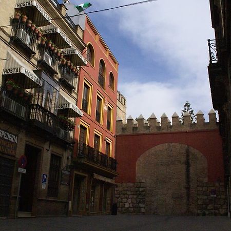Hostal Van Gogh Sevilla Dış mekan fotoğraf